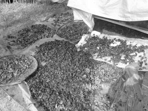 अपाङ्गता भएका व्यक्तिहरुबाट उत्पादित पाउँका सामानहरु