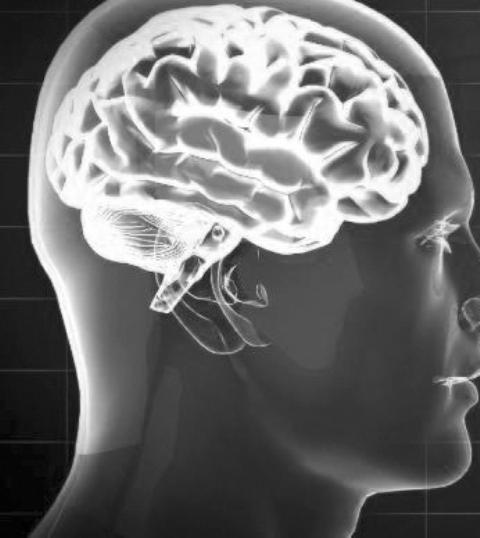 यसमा मानव मस्तिष्कको चित्र देखाइएको छ