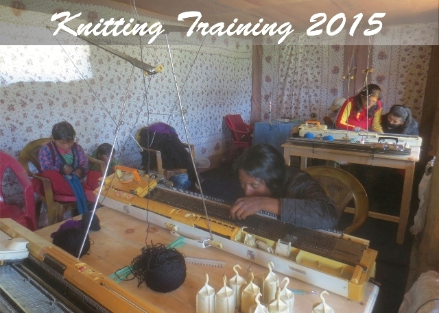 हुम्ला जिल्लामा अपाङ्गता भएका व्यक्तिहरुका लागि सञ्चालन गरिएका बुनाई सम्बन्धी तालिममा सहभागीहरु